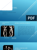 Irrigación Del Cerebro