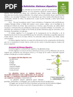 7-Sistemas de Nutrición-Sistema Digestivo