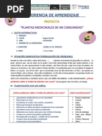 Experiencia de Aprendizaje (Proyecto) Plantas Medicinales de Mi Comunidad