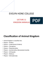 Evelyn Hone College Lecture 7 2022 Kingdom Animalia