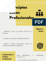 Principios Éticos Profesionales