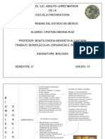 Biomoleculas Cristian Medina Ruiz