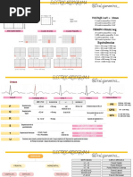 Guia EKG