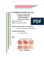 Autónomo N1 Enfermedades de La Piel