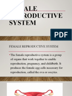 Female Reproductive System