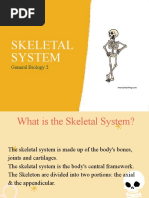 G-8 Skeletal System