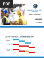 Presentación Forensic Schedule Analysis - Parte Práctica CPA