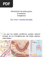 Movilización, Beta Oxidación y Cetogénesis - 4.0 Con Audio