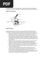 Investigación Previa Biotecnología 1