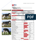 Ficha Tecnica Holstein Negro Doorman