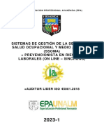 Presentacion - Epa Ssoma - Prevencionistas - On Line - Sincrono - 2023 - 1