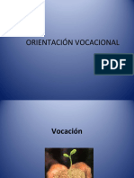 Orientación Vocacional