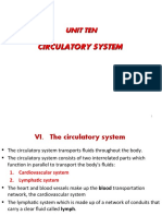 Circulatory System