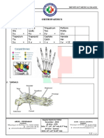 Orthopedics Images Based Questions