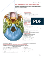 P-1B Estudio de La Base Del Craneo - Vision Exocraneal