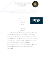 Drip Hyrodponics Medyo Final Nga Waay Problema Nga May Problema Nga Research