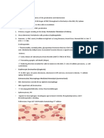 Hema 1 Erythropoiesis