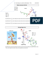 TD2 Composition de Mouvement