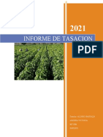 Informe de Tasacion Rural TP 3