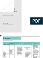 Organizador Hesga - Civ 23 PDF