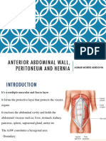 Anterior Abdominal Wall