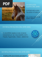 Encefalitis Equina Del Este