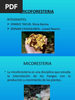 Micoforesteria