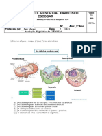 Avaliação Diagnóstica 9 Ano Jane Ciêcias 2023 Certo - Documentos Google PDF