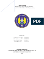 Laporan Resmi Praktikum Keanekaragaman Bryophyta (Kelompok 11) PDF