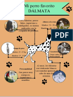 Plantilla de Infografia Nº3