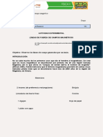 AMAYRANI GUADALUPE SANCHEZ RAMIREZ - FII17 - S03 - PR03 - Lineas de Campo Magnético