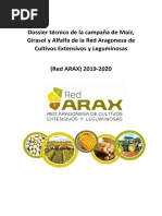 Dossier Maiz Girasol y Alfalfa Red Arax 2019 2020