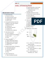 DPP XI Chapter - 6 Anatomy of Flowering Plants 15