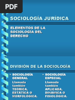 Elementos de La Sociología