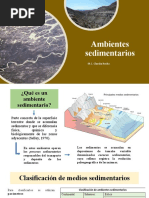 Ambientes Sedimentarios