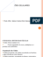 Aula1 - Diferenciações - Celulares - 2022-04-19T185703.525