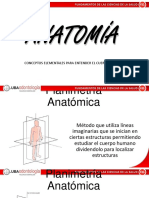 Anatomía PDF