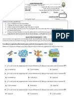 I Prueba Comprensiva de Setimo PDF