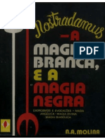 A Magia Branca e Negra PDF