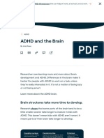 The ADHD Brain