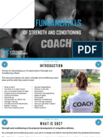 The Fundamentals of S&C PDF