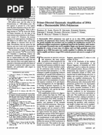 Primer-Directed Amplification of DNA Thermostable DNA Polymerase