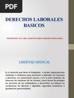 03-DERECHOS LABORALES BASICOS Libertad Sindical, Seguridad Social