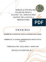 Individual Sociología