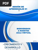 Sesion de Aprendizaje 01 PDF