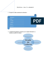 Fisa de Lucru Substantivul Ces Clasa A Va