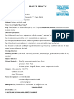 Proiect Didactic Traficul de Persoane