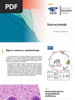 Sarcocystosis. Presentacion 1