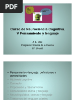 V Pensamiento PDF