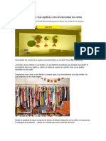 Visual Merchandising INFORMACION